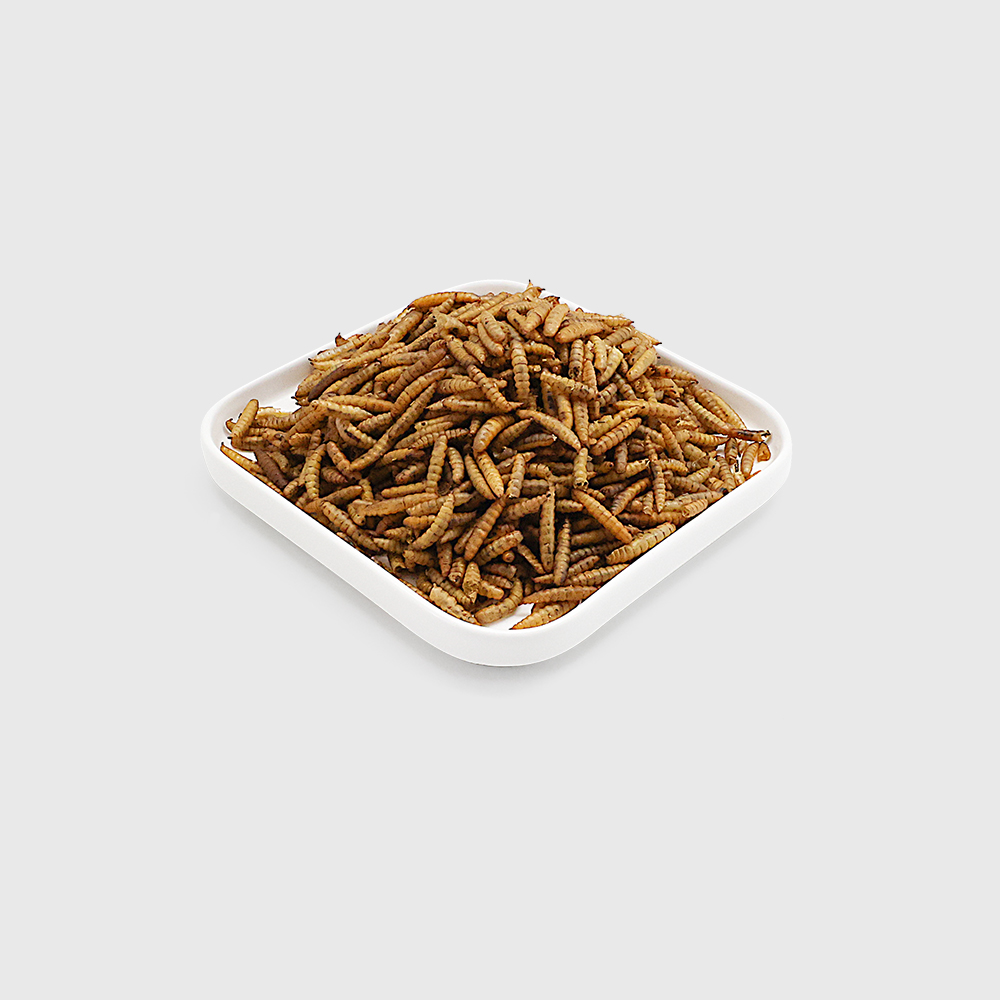 MICROWAVE DRIED BLACK SOILDER FLY LARVAE MICROWAVE DRIED BLACK SOILDER FLY LARVAE