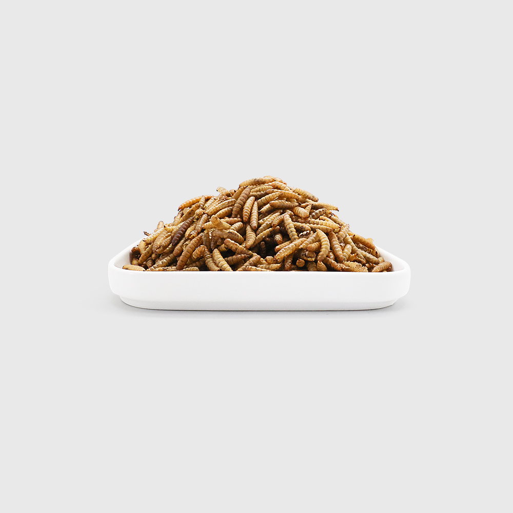 MICROWAVE DRIED BLACK SOILDER FLY LARVAE MICROWAVE DRIED BLACK SOILDER FLY LARVAE