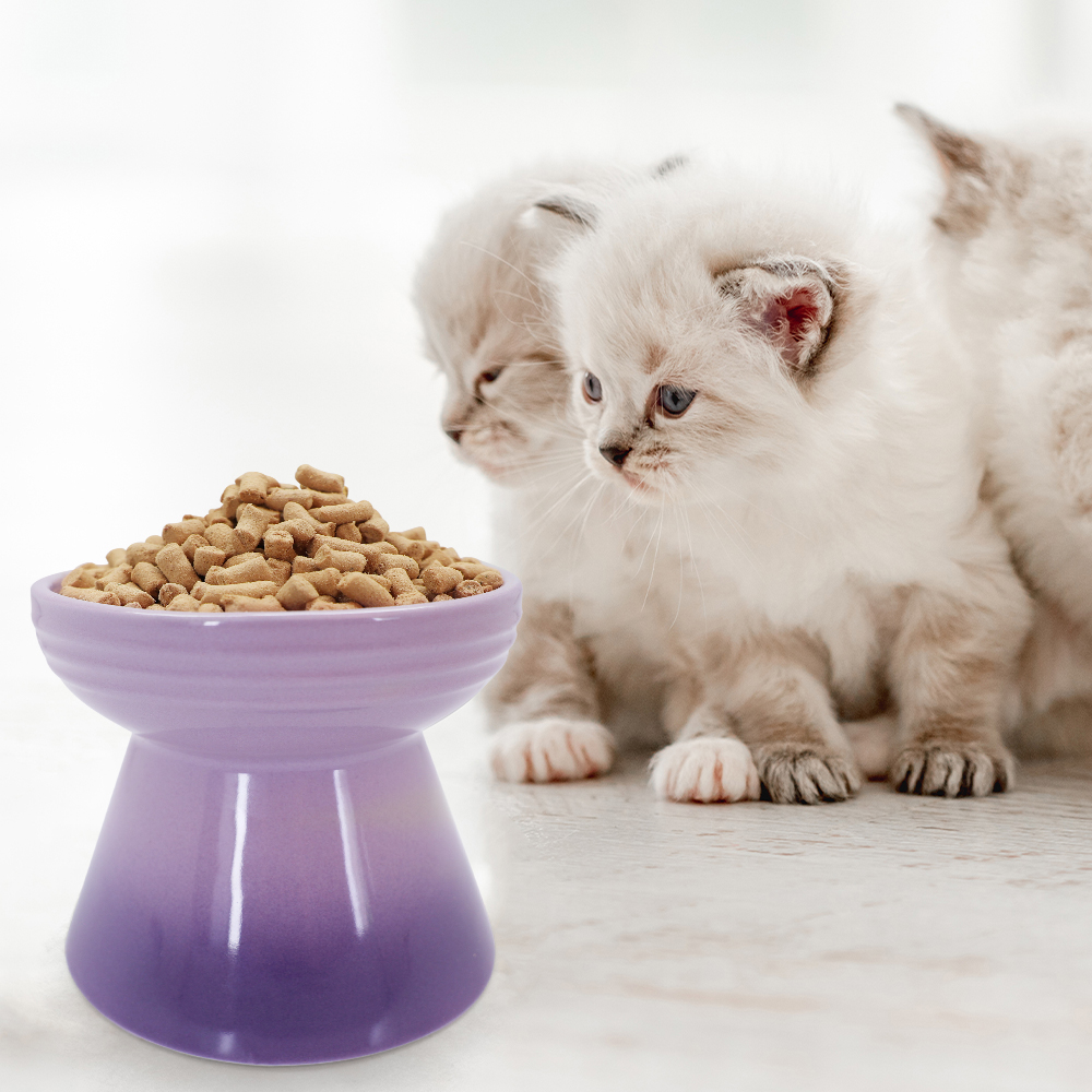FREEZE DRIED KITTEN FOOD (CHICKEN & SALMON RECIPE)